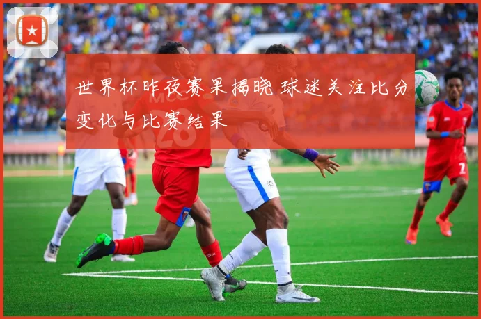 世界杯昨夜赛果揭晓 球迷关注比分变化与比赛结果