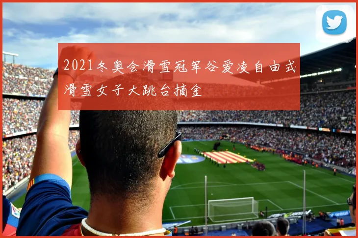 2021冬奥会滑雪冠军谷爱凌自由式滑雪女子大跳台摘金