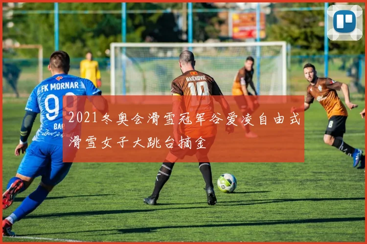 2021冬奥会滑雪冠军谷爱凌自由式滑雪女子大跳台摘金